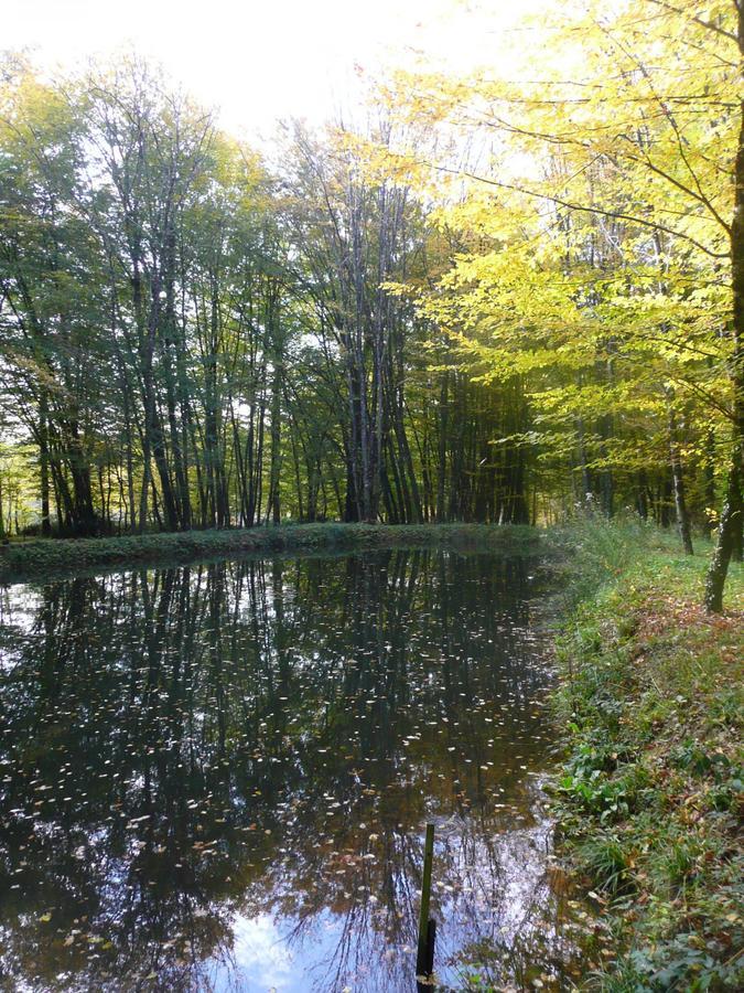 La Faisanderie 16 Panzió Edon Kültér fotó